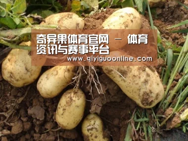 种植基地六
