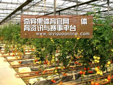 种植基地二
