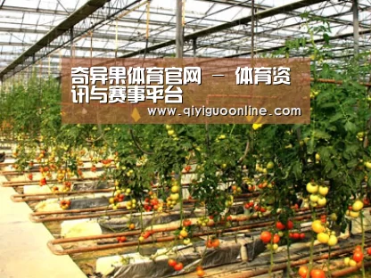种植基地二(图1)
