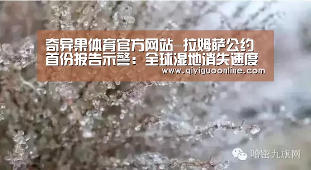 奇异果体育官方网站-拉姆萨公约首份报告示警:全球湿地消失速度是森林的三倍(图2) 奇异果体育