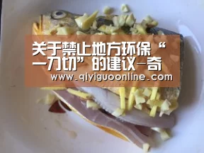 关于禁止地方环保“一刀切”的建议-奇异果体育官网(图4) 奇异果体育直播