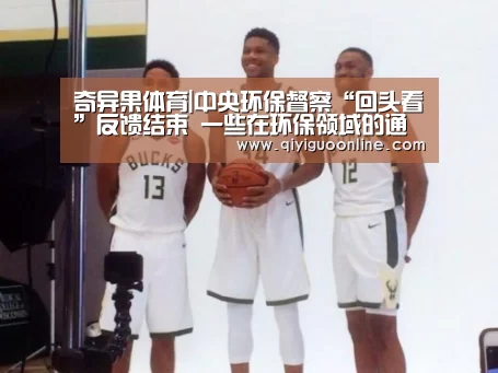 奇异果体育|中央环保督察“回头看”反馈结束 一些在环保领域的通病被督察组紧盯(图1) 奇异果体育