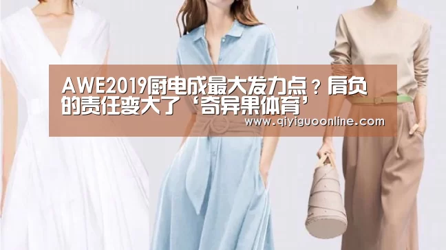 AWE2019厨电成最大发力点?肩负的责任变大了‘奇异果体育’(图3) 奇异果体育直播