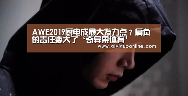 AWE2019厨电成最大发力点?肩负的责任变大了‘奇异果体育’(图4) 奇异果体育
