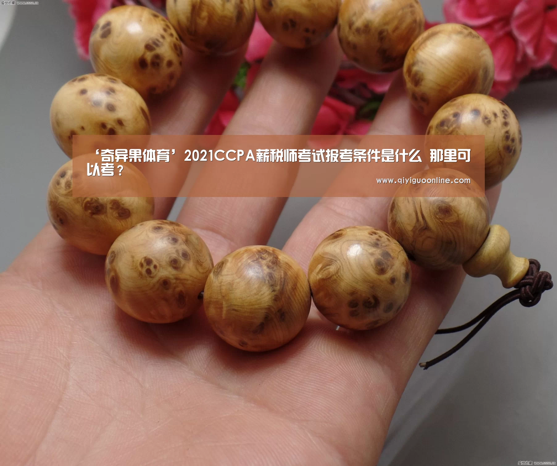 ‘奇异果体育’2021CCPA薪税师考试报考条件是什么 那里可以考?(图4) 奇异果体育