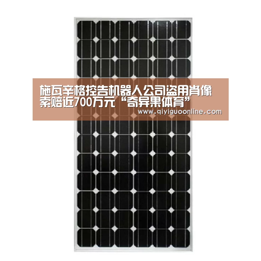 施瓦辛格控告机器人公司盗用肖像 索赔近700万元“奇异果体育”(图3) 奇异果体育