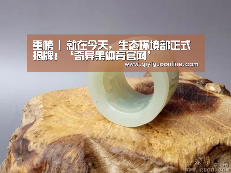 奇异果体育