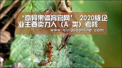 ‘奇异果体育官网’
2020版企业主要卖力人(A 类)考核题库 (六)(图2) 奇异果体育官方网站