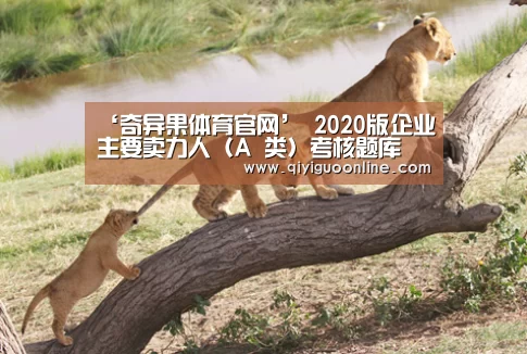 ‘奇异果体育官网’
2020版企业主要卖力人(A 类)考核题库 (六)(图1) 奇异果体育官方网站