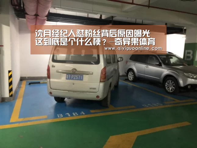 沈月经纪人怼粉丝背后原因曝光 这到底是个什么梗?-奇异果体育官方网站(图2) 奇异果体育