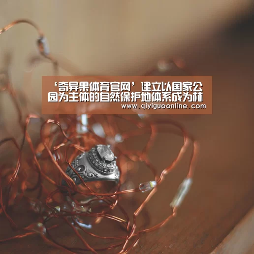 ‘奇异果体育官网’建立以国家公园为主体的自然保护地体系成为林草工作新重点(图2) 奇异果体育直播