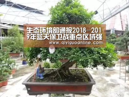 奇异果体育官网