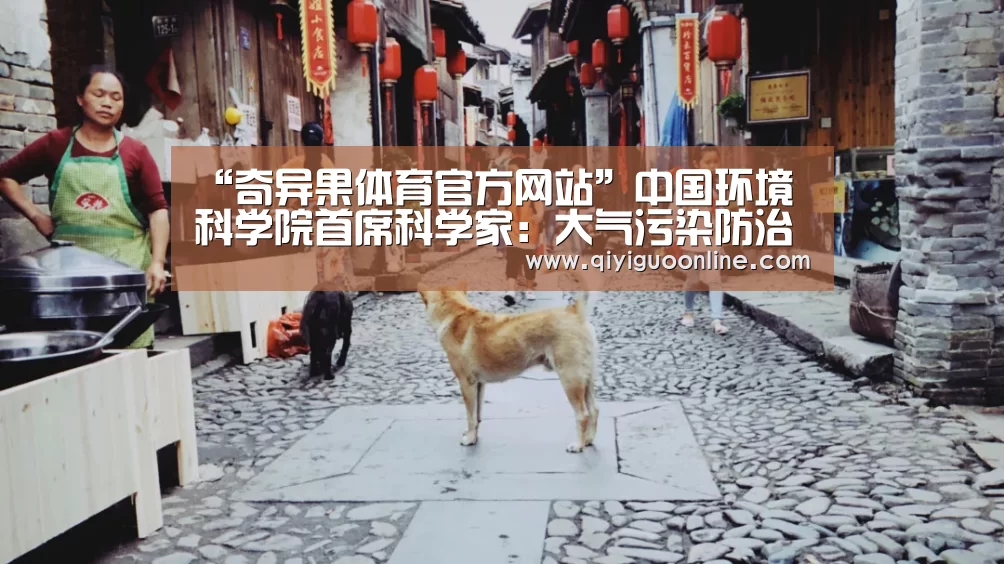 奇异果体育直播