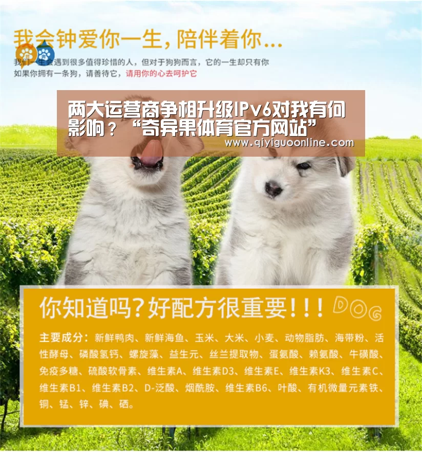 两大运营商争相升级IPv6对我有何影响?“奇异果体育官方网站”(图4) 奇异果体育直播