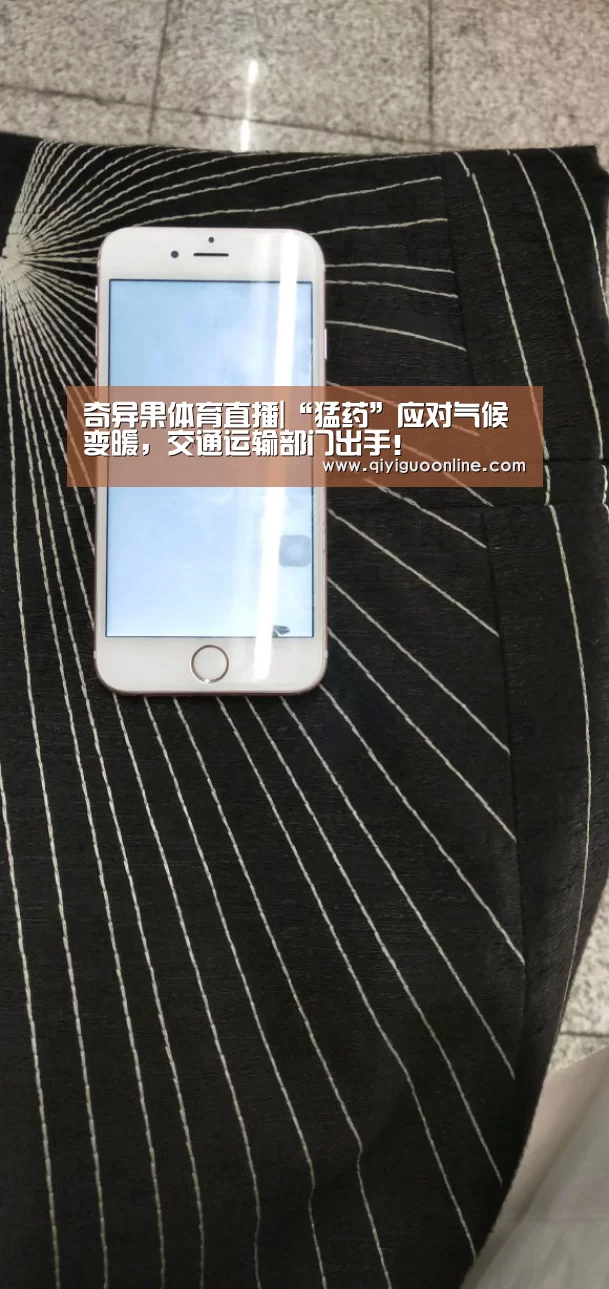 奇异果体育直播|“猛药”应对气候变暖,交通运输部门出手!(图3) 奇异果体育直播