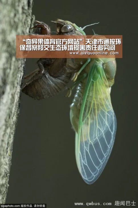 “奇异果体育官方网站”天津市通报环保督察移交生态环境损害责任追究问题问责情况(图2) 奇异果体育